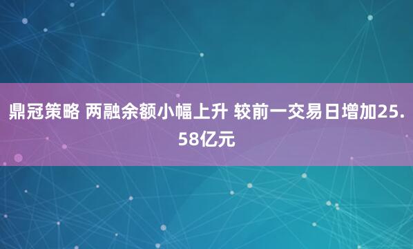 鼎冠策略 两融余额小幅上升 较前一交易日增加25.58亿元